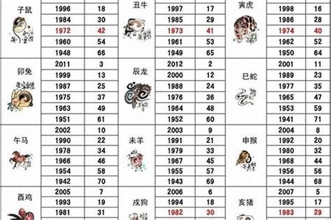 2022是什么年|今年（2022年）是什么年